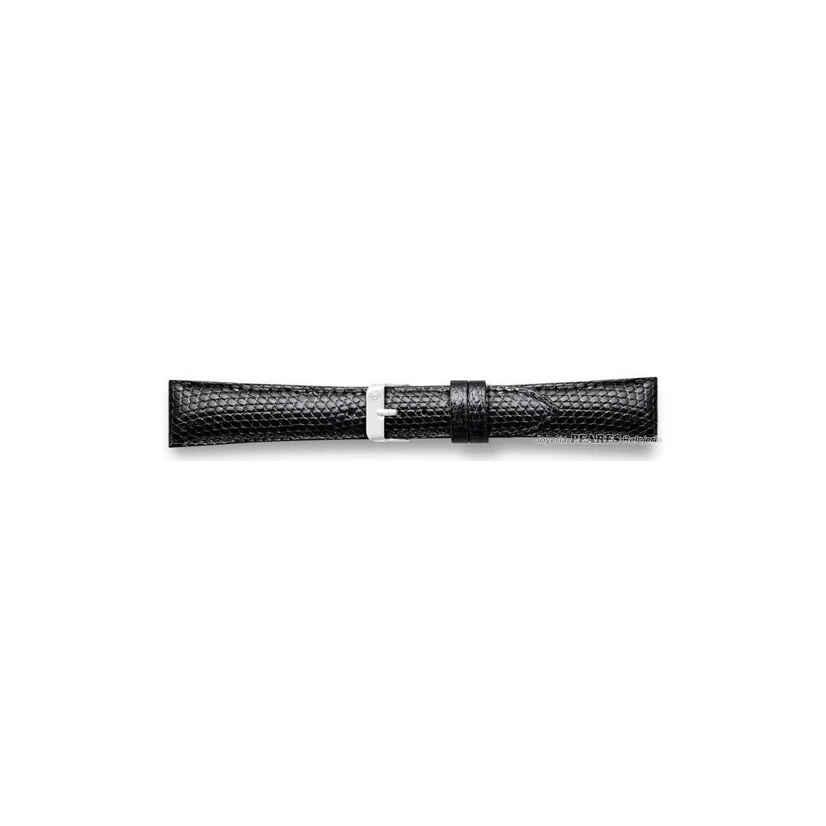 Correa de lagarto legitimo. - 420001/16