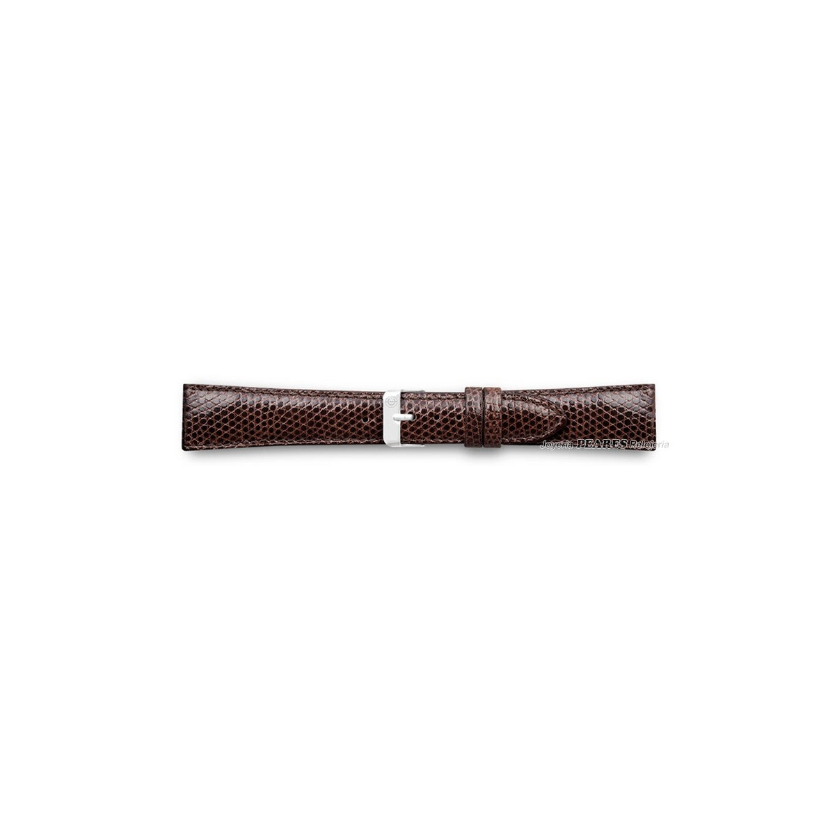 Correa de lagarto legitimo. - 420003/14