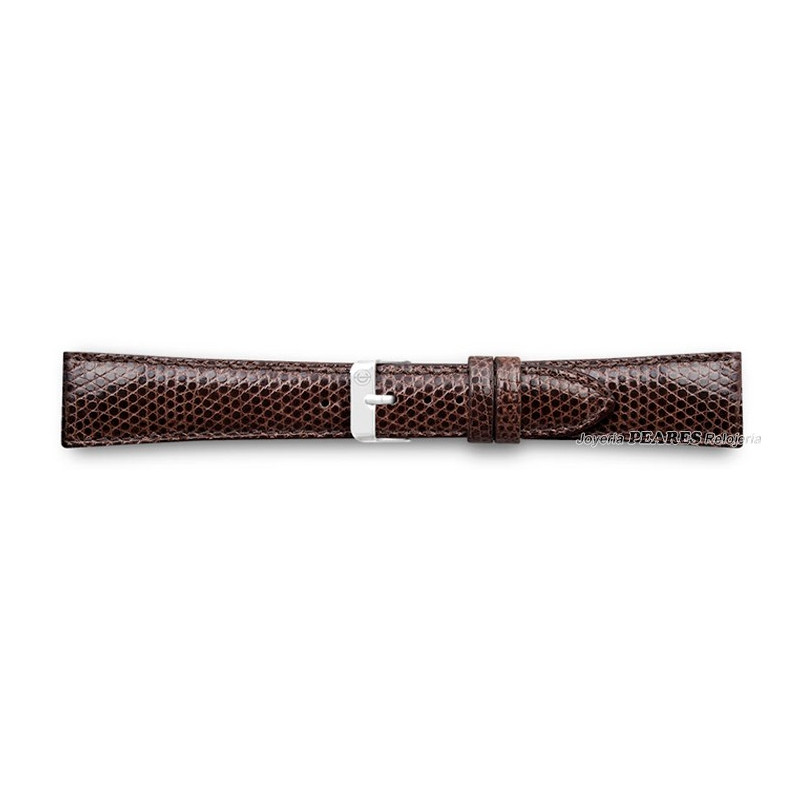 Correa de lagarto legitimo. - 420003/16