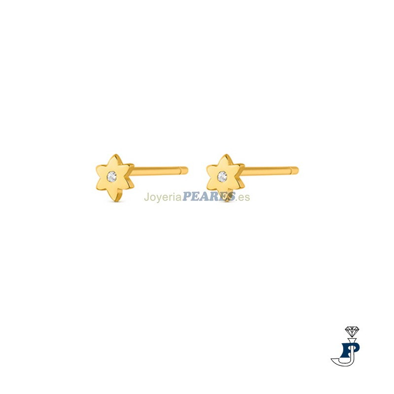 Pendientes de Promojoya en Plata con un baño de Oro. - 162.9111454/E