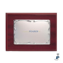 Placa VINARD Homenaje Plata de 1ª Ley. - 23.00395