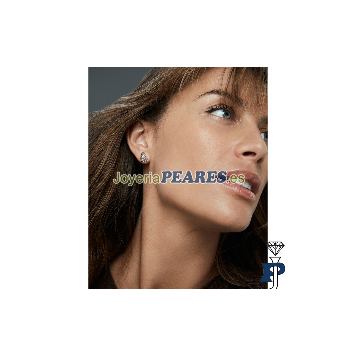 Pendientes de VICEROY en Plata de 1ª Ley. - 2366E000-00